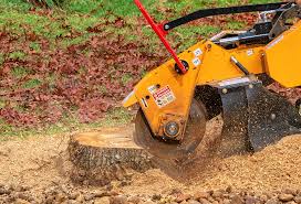 Lawn Grading and Leveling in Smith Valley, NV